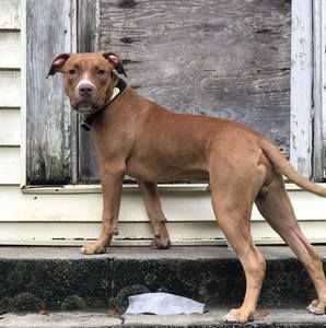 Meet your Posher, Ty